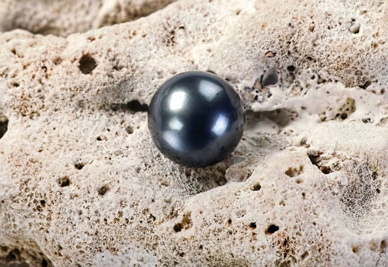 Tahitian Pearl