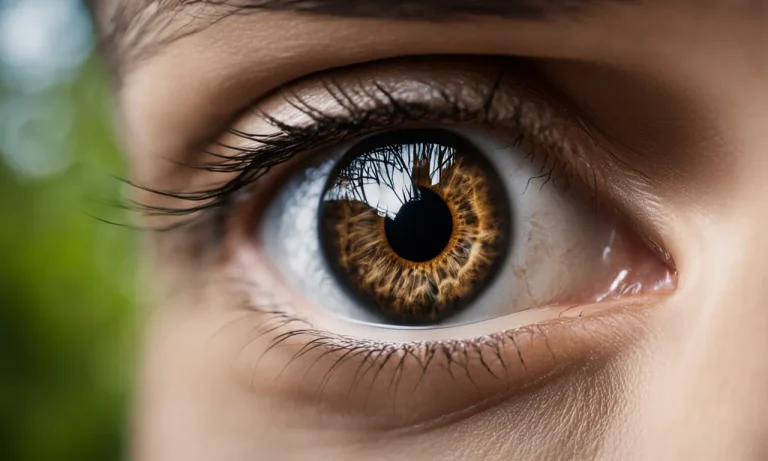 Brown Eyes With A Black Ring: Causes And Meaning